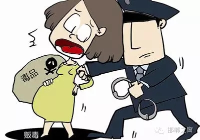 2016年初，涉縣警方查獲一起涉毒案件，鑒于該案涉案人員多、毒品交易量大，涉縣警方立即將案情上報(bào)，被公安部確立為“目標(biāo)-2016-314”號(hào)毒品案件。涉縣警方成立專案組，經(jīng)過多方追查，先后抓獲團(tuán)伙人員13名，繳獲毒品5349克，并查明上線“濮姐”的真實(shí)身份為陳某。